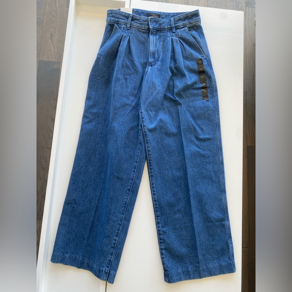 NWT Banana Republic Luxe Wide Leg Pleated High Rise Jeans Modern Size 29 Size 8